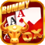 hai rummy icon